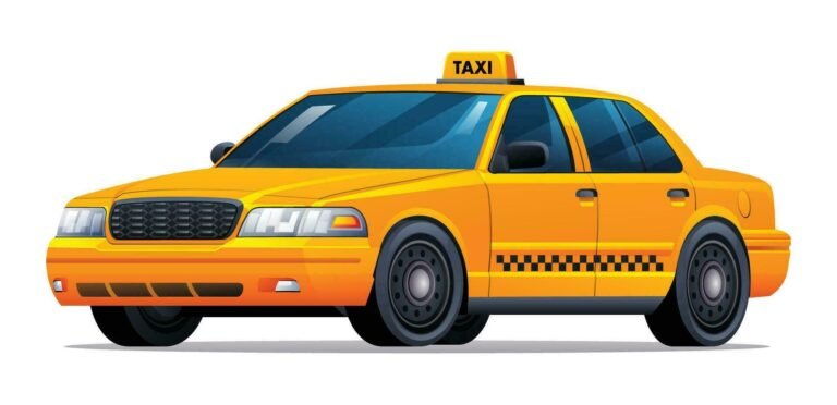 Experienced drivers ensure safe and comfortable journeys across Ooty.