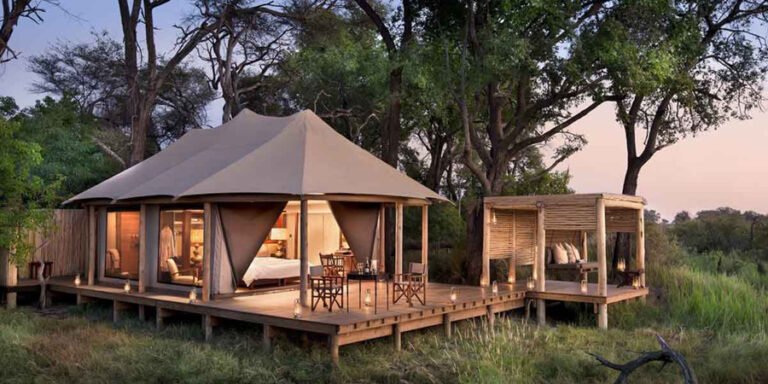 Which Are the Top Luxury Safari Experiences in Namibia?